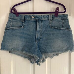 Free People CRVY High Voltage High Rise Shorts/size 34/New